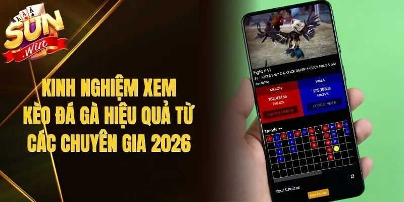 Kinh Nghiệm Xem Kèo Đá Gà Hiệu Quả Từ Các Chuyên Gia 2026
