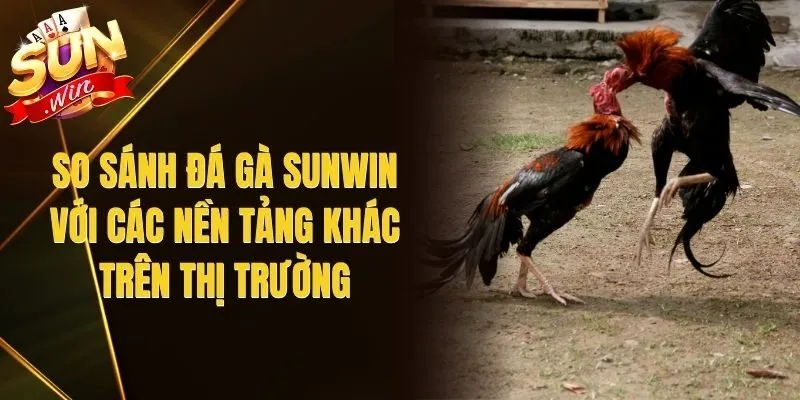 So Sánh Đá Gà Sunwin Với Các Nền Tảng Khác Trên Thị Trường