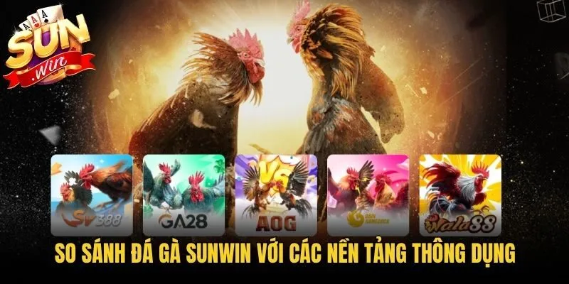 So sánh đá gà Sunwin với các nền tảng thông dụng